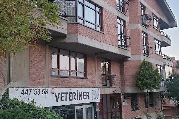 Protez Saç Ankara (Hairlife) - Resim 2