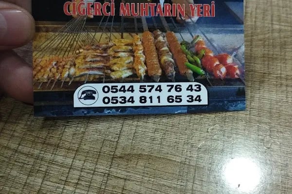 Ciğerci muhtarın yeri - Resim 13