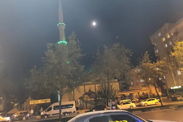 Ciğerci muhtarın yeri - Resim 14