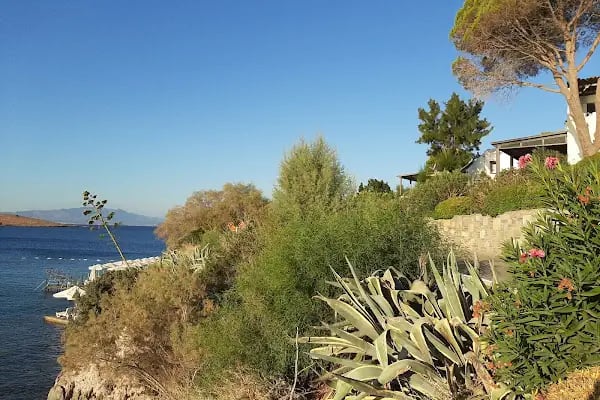 Aktur tatil sitesi ortaburun plajı - Resim 4