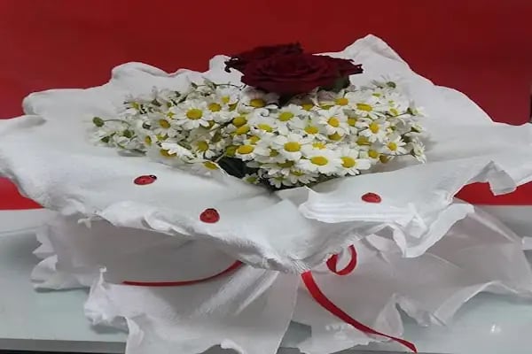 ALANYA NERGİS ÇİCEK - Resim 9