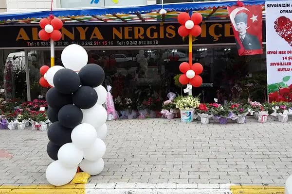 ALANYA NERGİS ÇİCEK - Resim 4