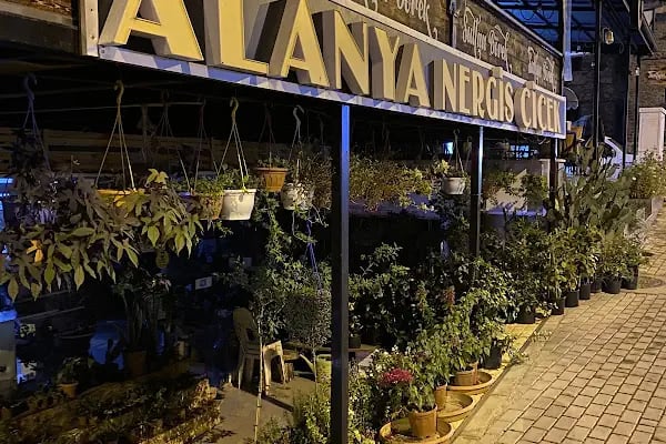 ALANYA NERGİS ÇİCEK - Resim 6