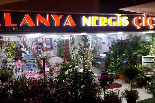 ALANYA NERGİS ÇİCEK - Resim 2