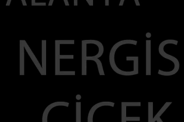 ALANYA NERGİS ÇİCEK - Resim 13