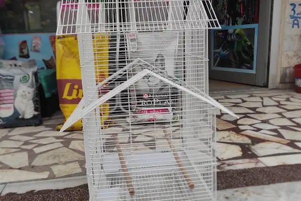 Ela Petshop - Resim 8