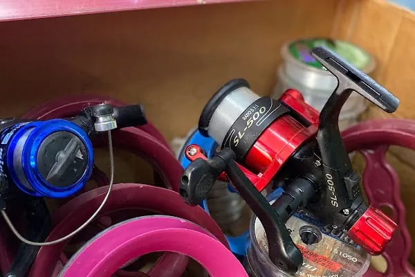 Ela Petshop - Resim 20