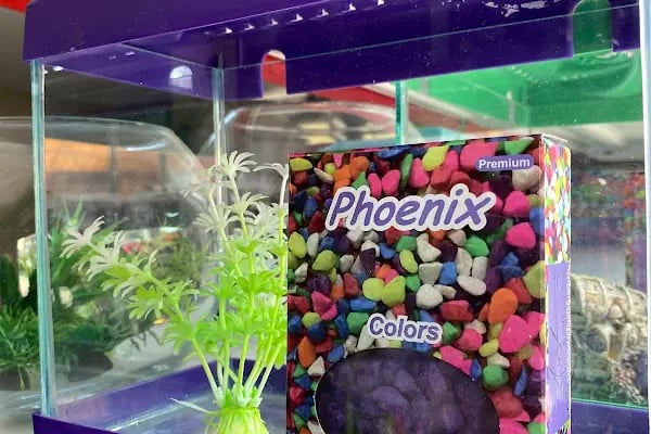 Ela Petshop - Resim 2