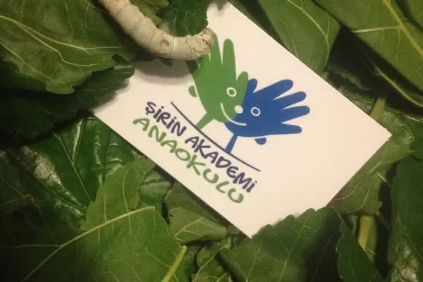 MEB Özel İnegöl Şirin Anaokulu - Resim 18
