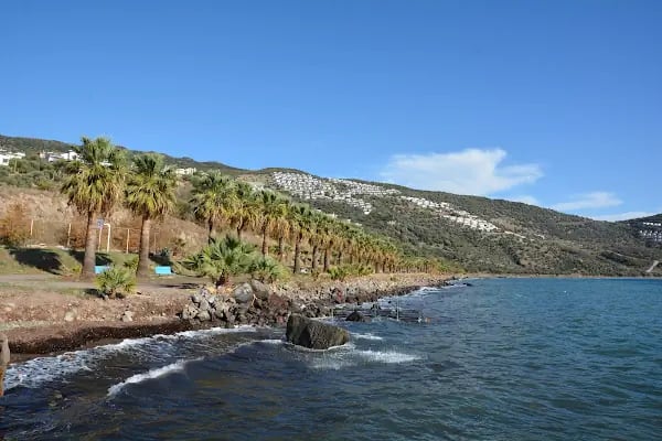 Çandarlı Tatil Köyü - Resim 8