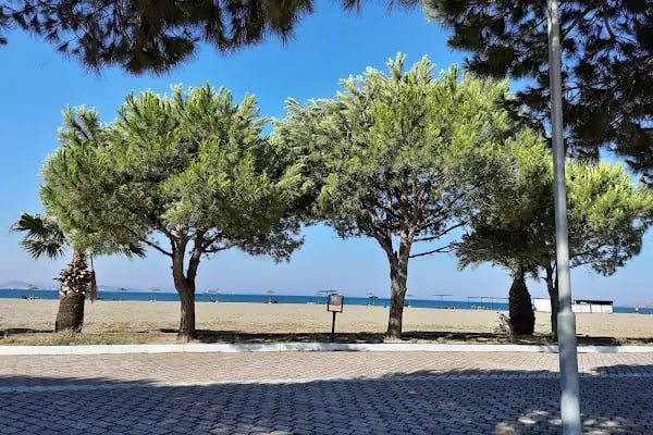 Çandarlı Tatil Köyü - Resim 13