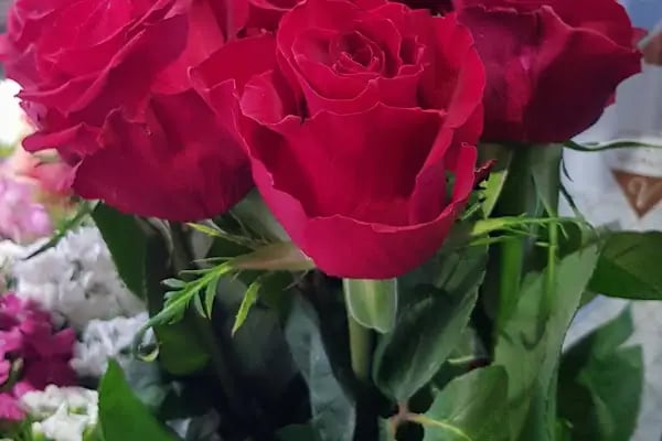 Oben Flowers - Resim 5
