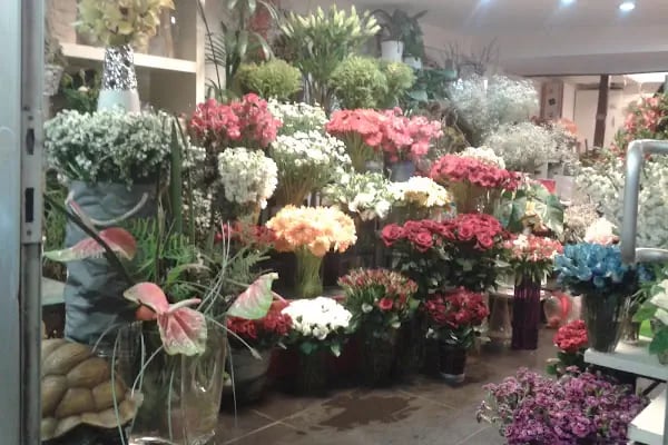 Oben Flowers - Resim 20