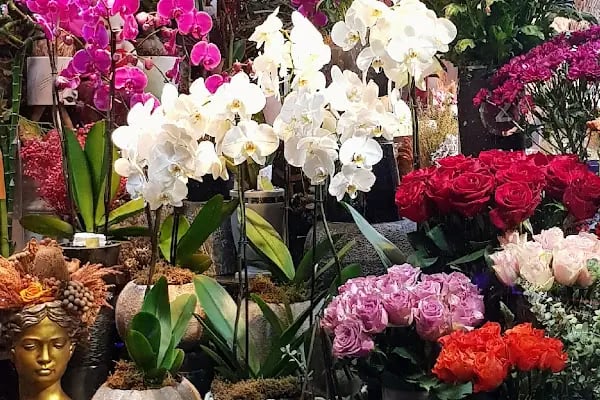Oben Flowers - Resim 3