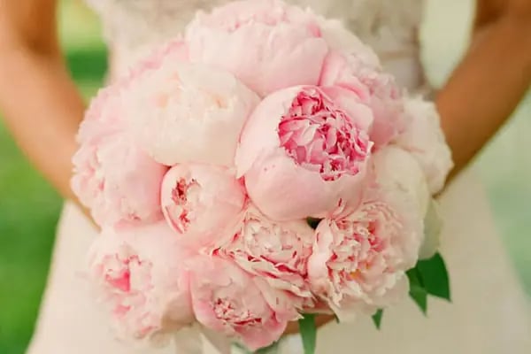 Oben Flowers - Resim 7