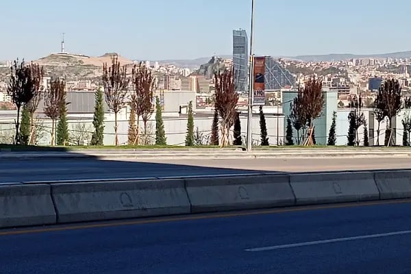 Etlik Şehir Hastanesi Kadın Doğum Hastanesi - Resim 16