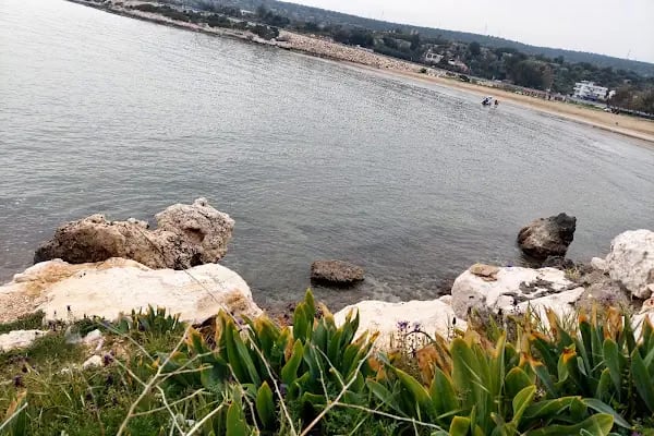 Ayaş Merdivenli Kuyu Plajı 2 - Resim 2