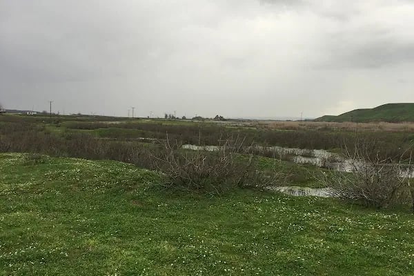 Köseli İlkokulu-Ortaokulu - Resim 3