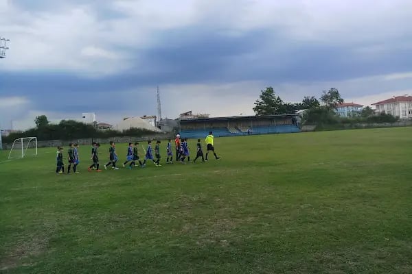 Erenler Atatürk Stadyumu - Resim 4