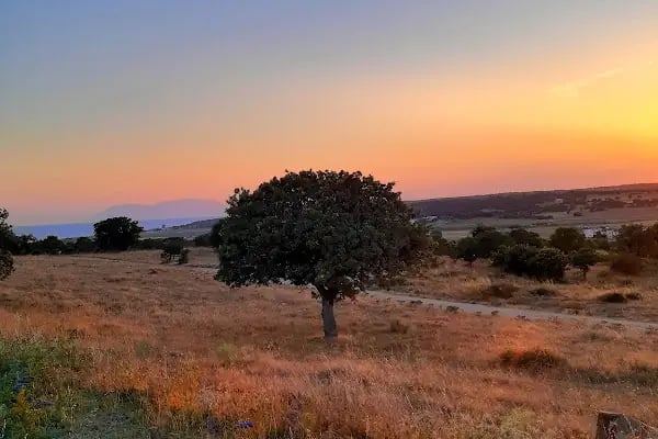 Evros Beach &amp; Cafe - Resim 20