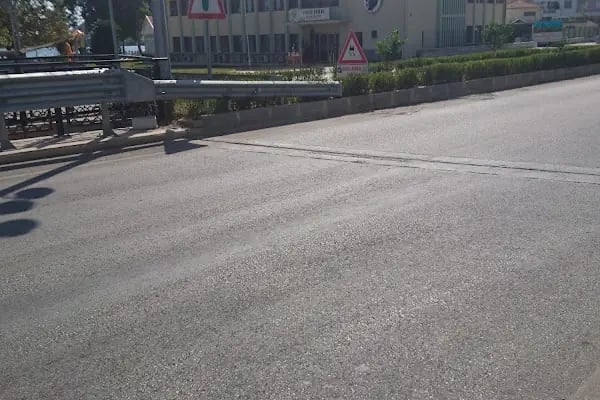 Finike Orman İşletme Müdürlüğü - Resim 15