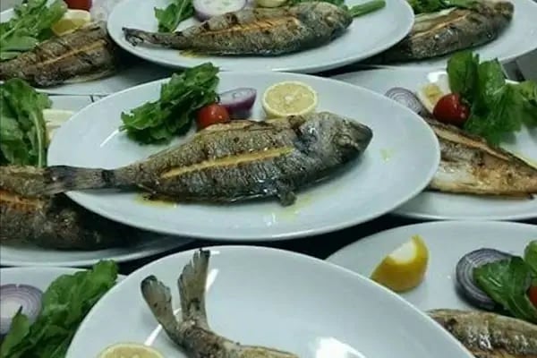 Dede Türkü Evi sahne - Resim 18
