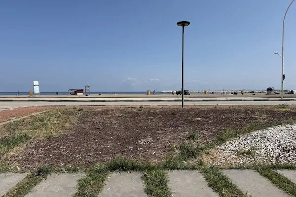 Malkara Balıkçı Limanı - Resim 10