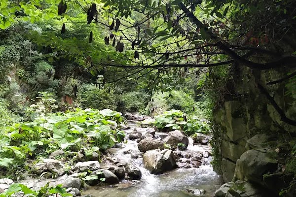 Soğukdere Kanyonu Yürüyüş Parkuru - Resim 11