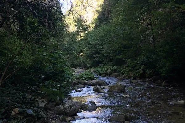 Soğukdere Kanyonu Yürüyüş Parkuru - Resim 17