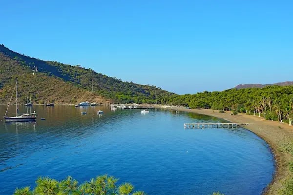 Kovanlık Tabiat Parkı - Resim 18