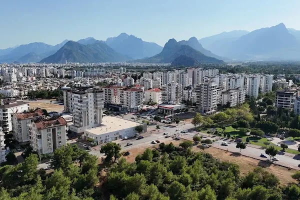 Gürsu Mahallesi Muhtarlığı - Resim 7