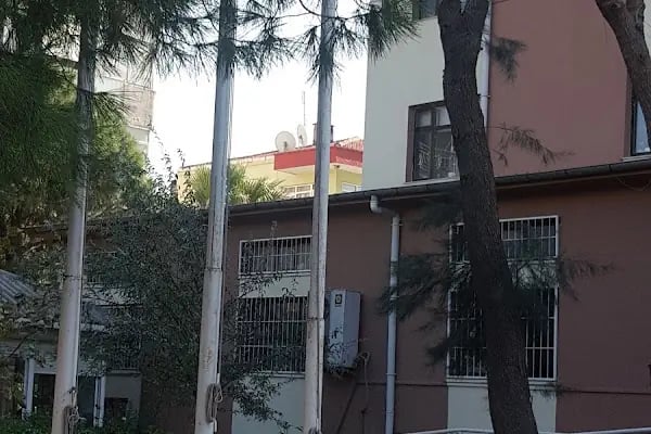 Taşıtlar Vergi Dairesi - Resim 3