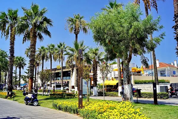 WI CLUB BODRUM - Resim 4