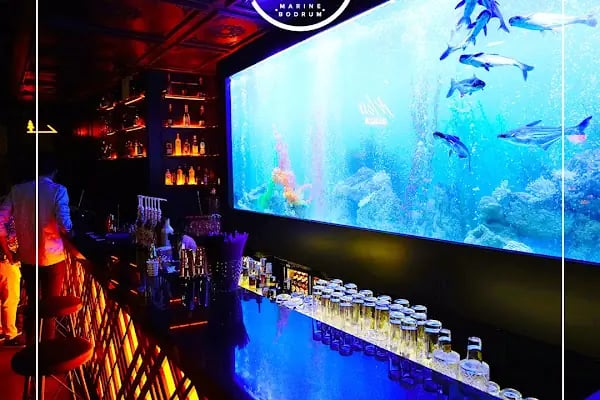 WI CLUB BODRUM - Resim 15