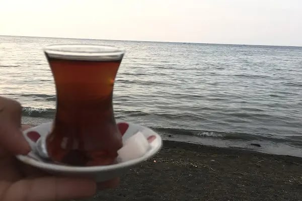 Salaş Kafe Bahçe - Resim 14