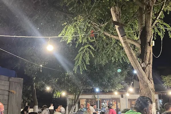Salaş Kafe Bahçe - Resim 2