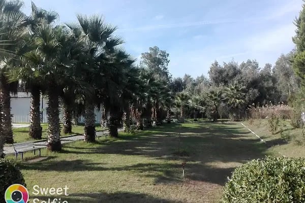 Harran Üniversitesi Birecik Meslek Yüksekokulu - Resim 15