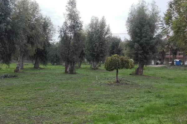 Harran Üniversitesi Birecik Meslek Yüksekokulu - Resim 8
