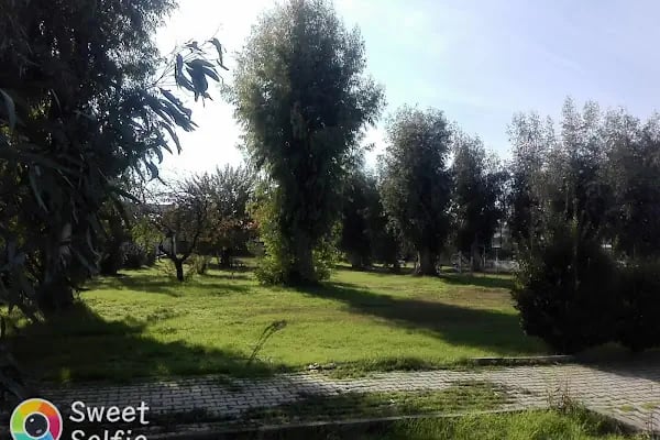Harran Üniversitesi Birecik Meslek Yüksekokulu - Resim 9