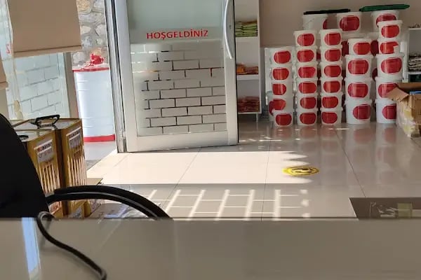 Uyar Veteriner Kliniği - Resim 4