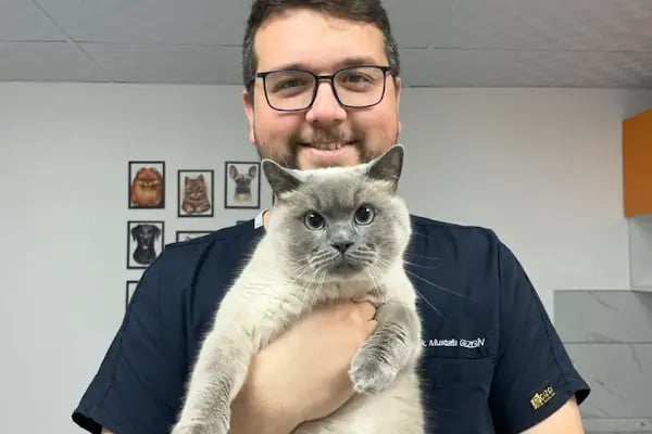 Gezgin Veteriner Kliniği Bergama - Resim 16