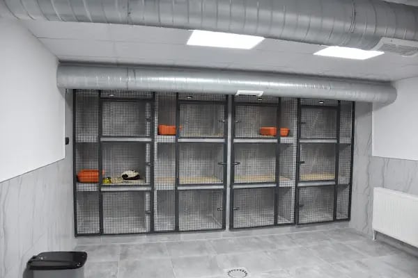 Gezgin Veteriner Kliniği Bergama - Resim 4