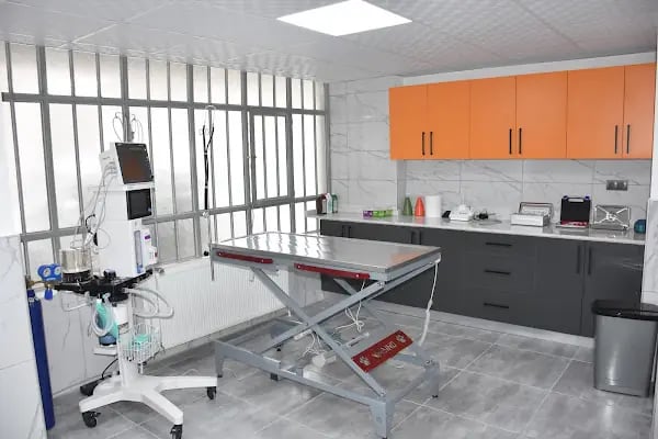 Gezgin Veteriner Kliniği Bergama - Resim 6