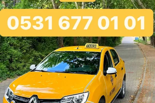 Çınar Taksi Gemlik - Resim 9