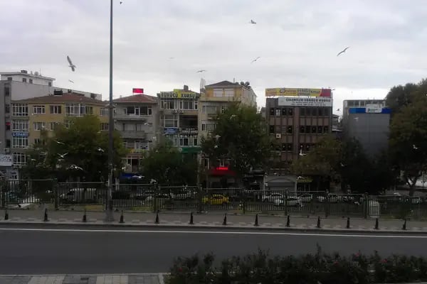 Kartal Amerikan Kültür Yabancı Dil Kursu - Resim 2
