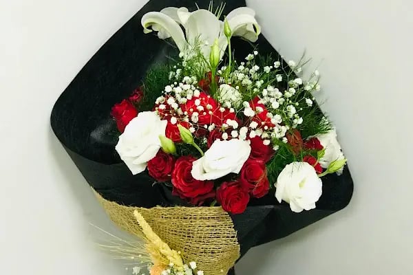 Daisy flower garden - Resim 12