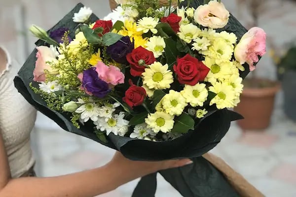 Daisy flower garden - Resim 3