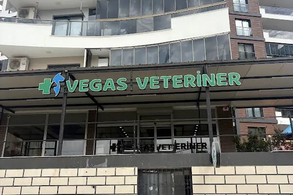 Vegas Veteriner Kliniği - Resim 11