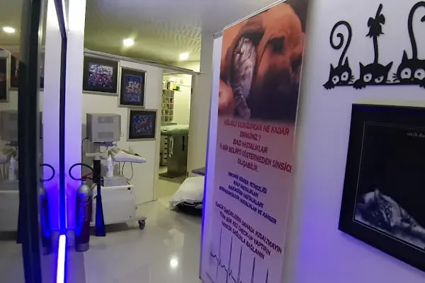 Karabağlar Efes Veteriner - Resim 20
