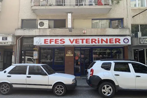 Karabağlar Efes Veteriner - Resim 5